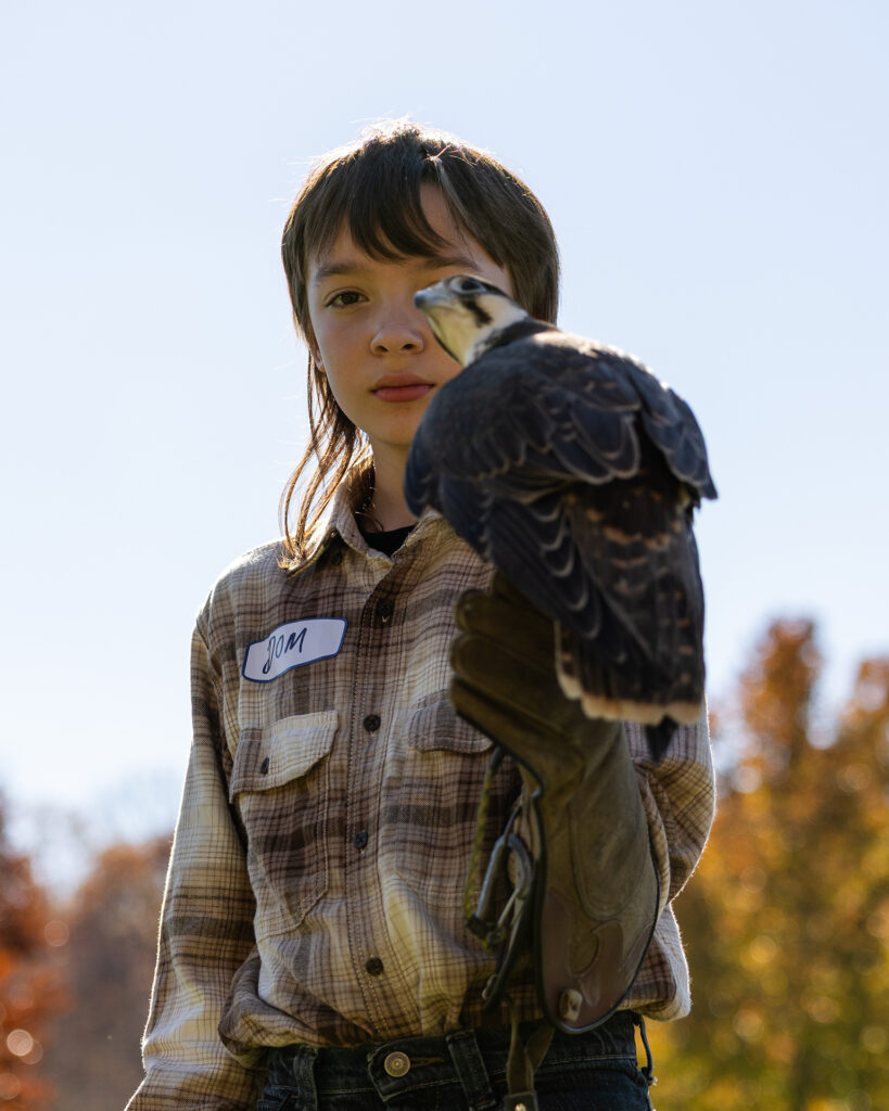 Young Falconer
